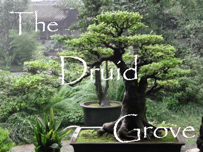 The Druid Grove