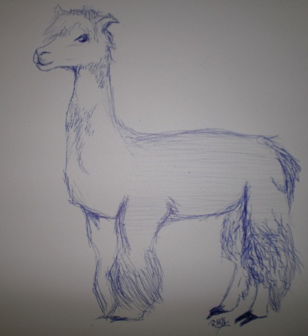 drawn llama