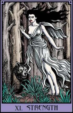 The Vampire Tarot by Robert M. Place