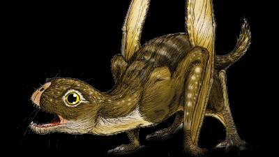 vampire pterosaur