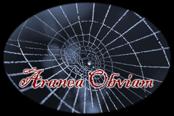 Vampire Rave - The Ultimate Vampire Resource and Directory - http://www/VampireRave.com