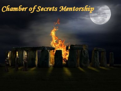 Chamber of Secrets Mentorship