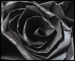 BlackRoses