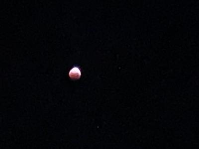 BloodMilkMoon2021's Journal