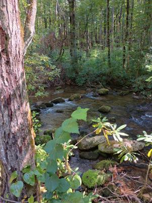 CadesCove