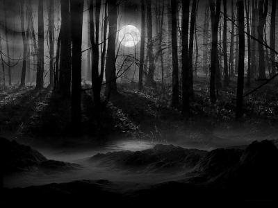 NocturnalCompulsion