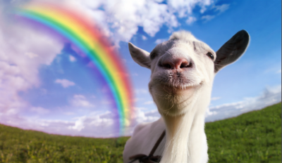 RainbowGoat