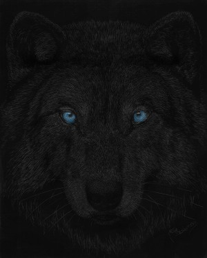 Shadowfire