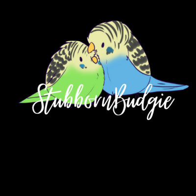 StubbornBudgie