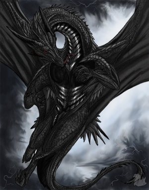 Vergilsparda