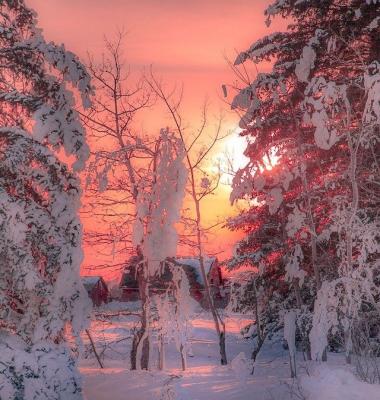 WinterPrairies