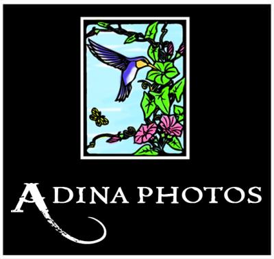 adinaphotos