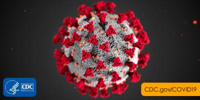 coronavirus's Journal