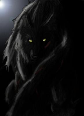dragonwolf69