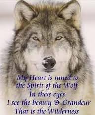 luckywolf968