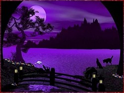 quietnite88