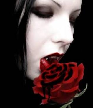 shadowedvampirerose