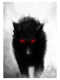 stillwolf
