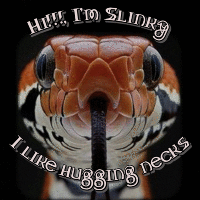 xSlinkyx