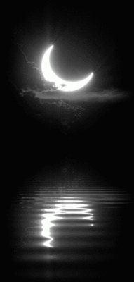 xXxMOONxSHADExXx