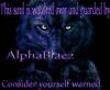 Portfolio Picture #15 for alphaBlaez