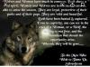 Portfolio Picture #5 for Blueeyedwhitewolf