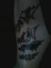 Portfolio Picture #65 for breakhisribcage