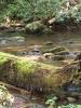 Portfolio Picture #5 for CadesCove