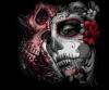 Portfolio Picture #1 for Calaveras