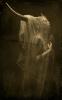 Portfolio Picture #3 for CountessBloodlust