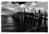 Portfolio Picture #10 for Dragosani