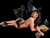 Portfolio Picture #11 for HallowNight