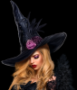 Portfolio Picture #16 for HallowNight