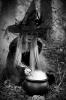 Portfolio Picture #3 for HallowNight