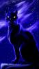 Portfolio Picture #1 for LucyPurrrrQuartz