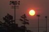 Portfolio Picture #14 for MercurySwitch