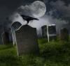 Portfolio Picture #5 for MidnightSalemStorm