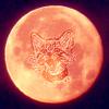 Portfolio Picture #3 for MoonCaat