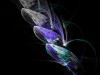 Portfolio Picture #87 for NightBlossom
