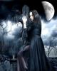 Portfolio Picture #7 for NightSpecter