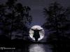 Portfolio Picture #1 for Nocturnus