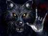 Portfolio Picture #2 for ReaperOfLight