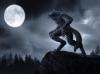 Portfolio Picture #6 for ReaperOfLight