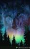Portfolio Picture #3 for ShadowSpiritWolf