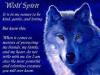 Portfolio Picture #4 for ShadowSpiritWolf