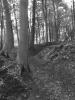 Portfolio Picture #10 for SwitcH