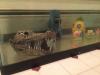 Portfolio Picture #9 for TheSYSTEM