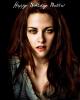 Portfolio Picture #5 for vampirehearts