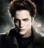 Portfolio Picture #6 for vampirehearts