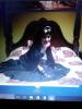 Portfolio Picture #1 for Vampmorbia